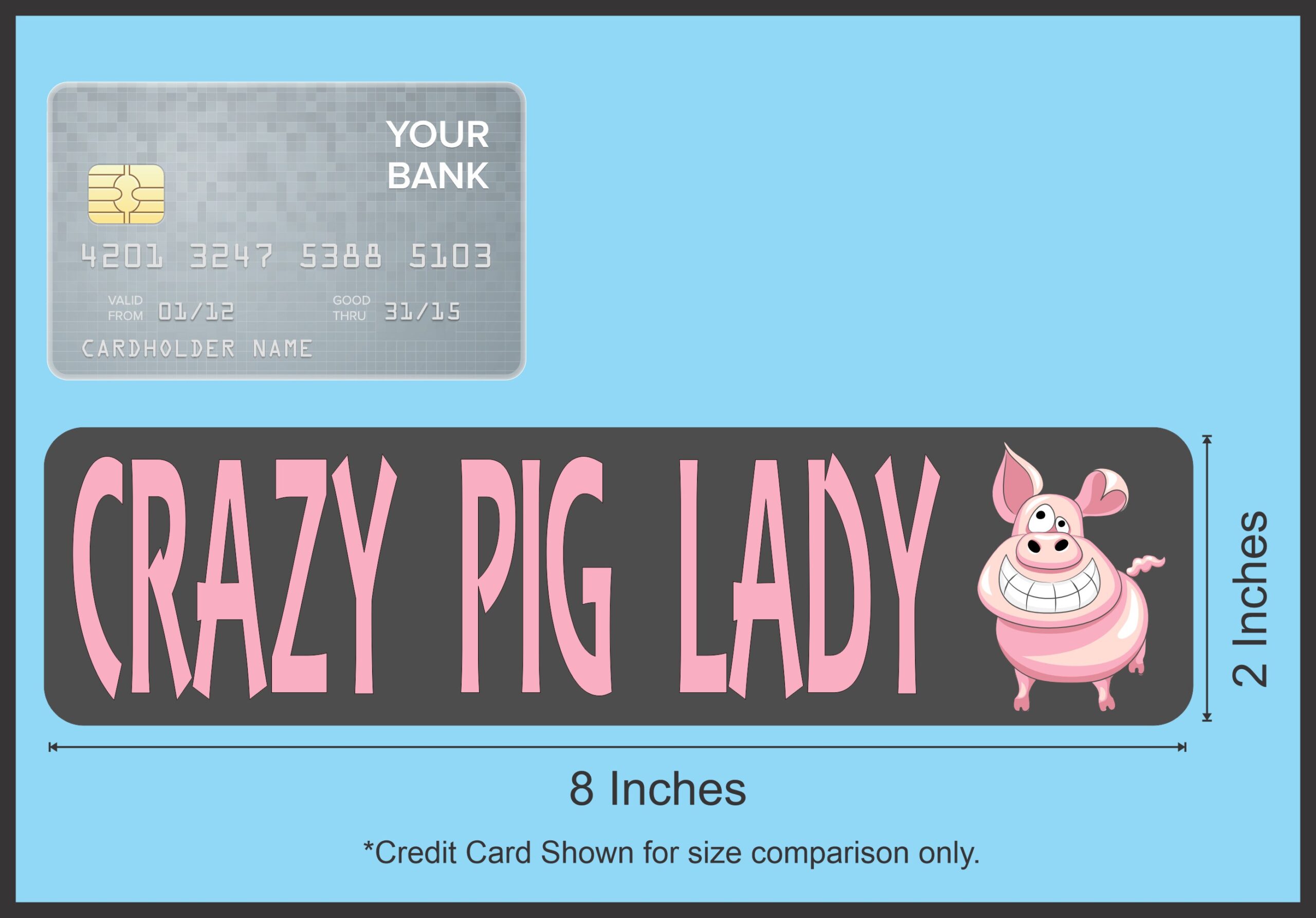 8in x 2in Crazy Pig Lady Magnet Magnetic Funny Vehicle Magnets A