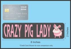 8in x 2in Crazy Pig Lady Bumper Sticker Vinyl Car Window Decal S