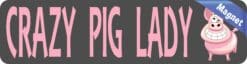 8in x 2in Crazy Pig Lady Magnet Magnetic Funny Vehicle Magnets A