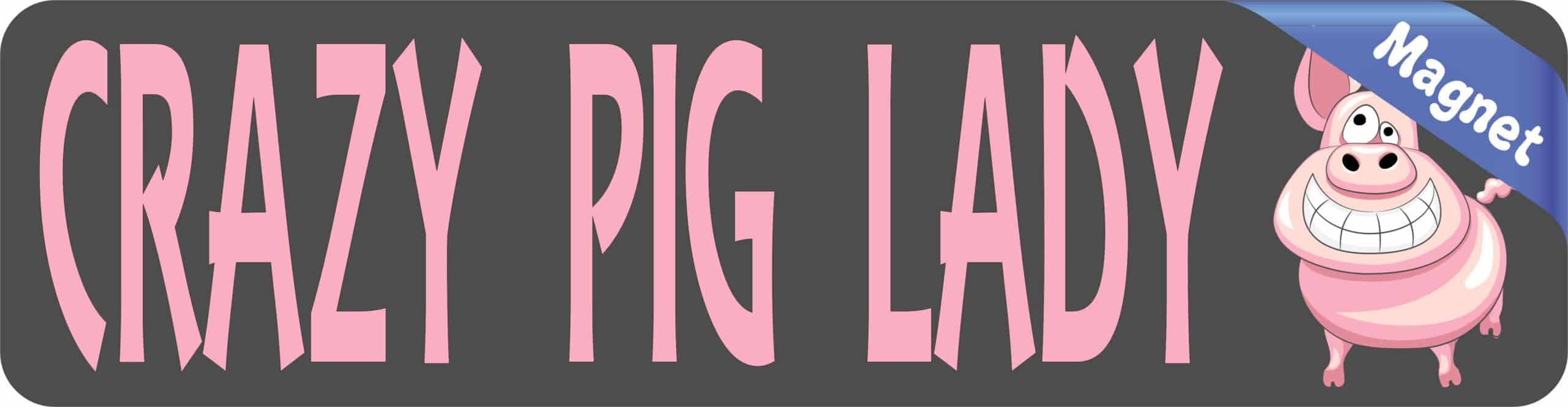 8in x 2in Crazy Pig Lady Magnet Magnetic Funny Vehicle Magnets A