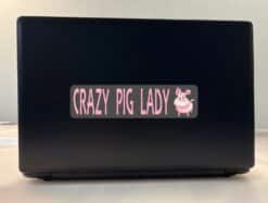 8in x 2in Crazy Pig Lady Bumper Sticker Vinyl Car Window Decal S