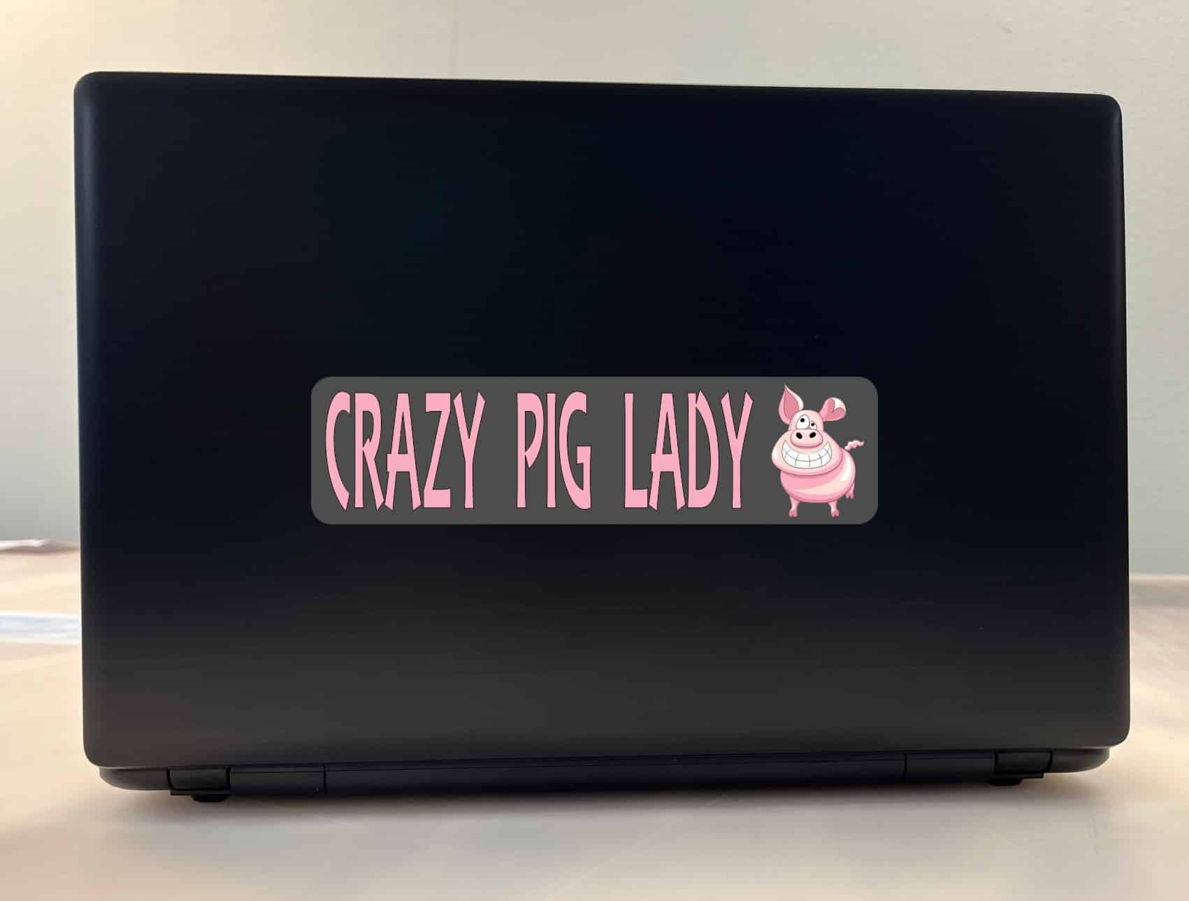 8in x 2in Crazy Pig Lady Bumper Sticker Vinyl Car Window Decal S