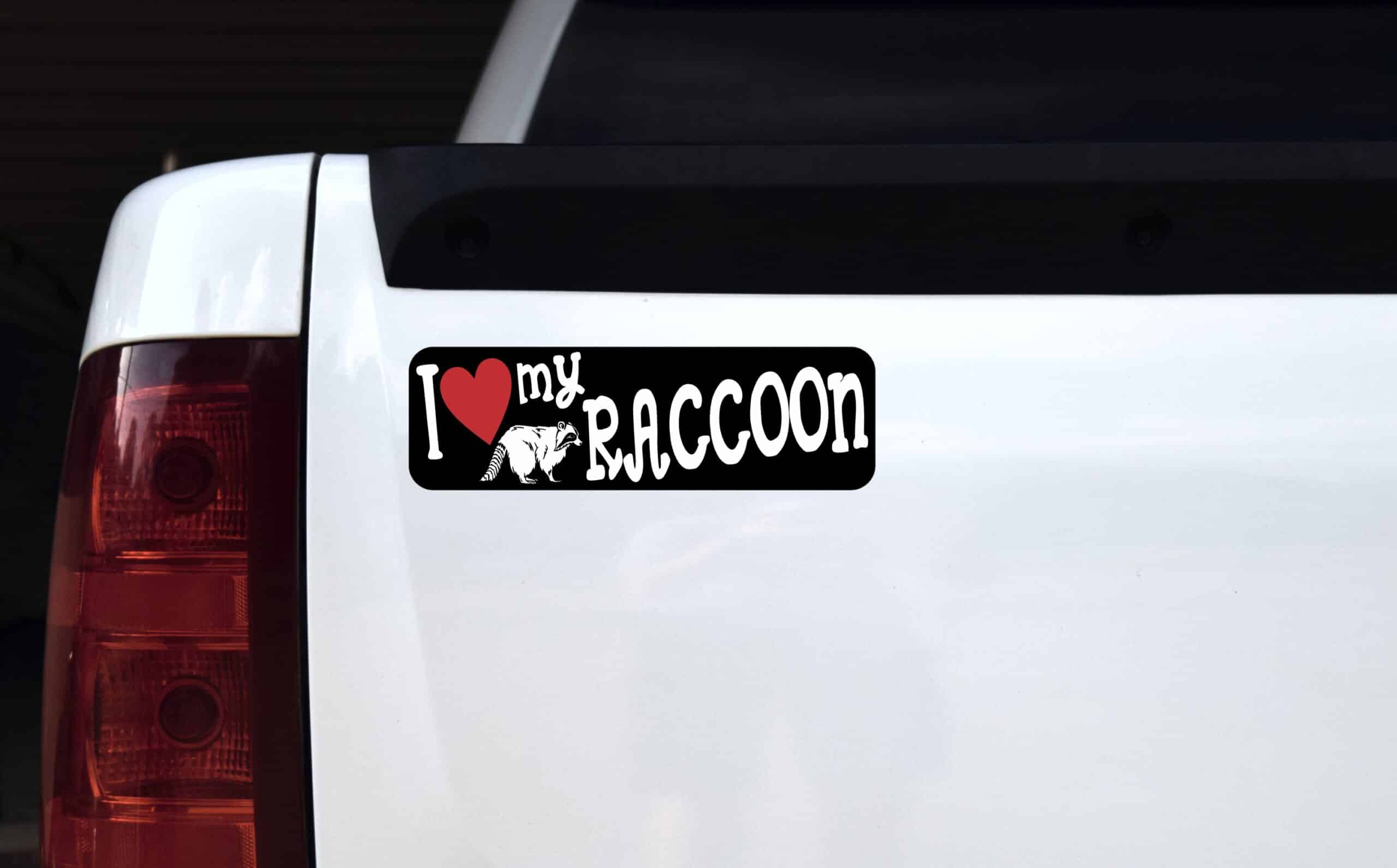 10in x 3in I Love My Raccoon Magnet Magnetic Vehicle Bumper Animal