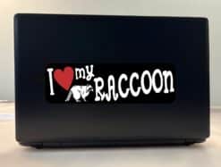 10in x 3in I Love My Raccoon Bumper Sticker Vinyl Vehicle Animal Decal