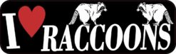raccoons