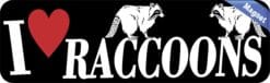 10in x 3in I Love Raccoons Magnet Magnetic Vehicle Bumper Animal