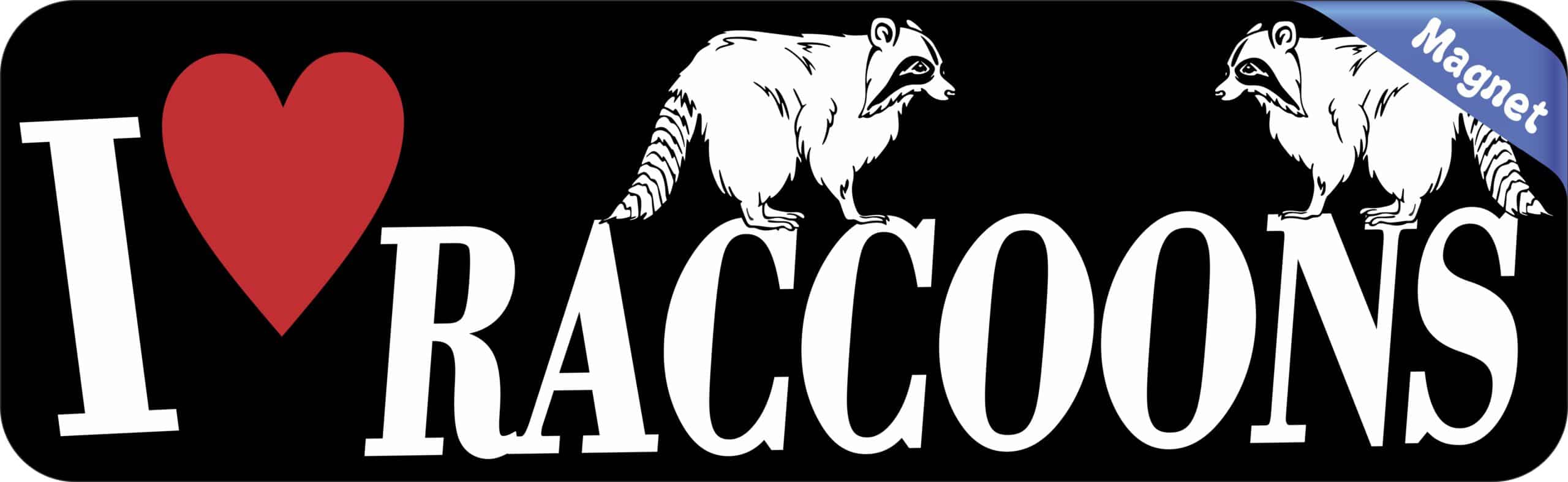 10in x 3in I Love Raccoons Magnet Magnetic Vehicle Bumper Animal