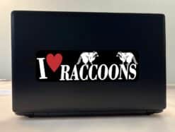 10in x 3in I Love Raccoons Bumper Sticker Vinyl Vehicle Pet Anim