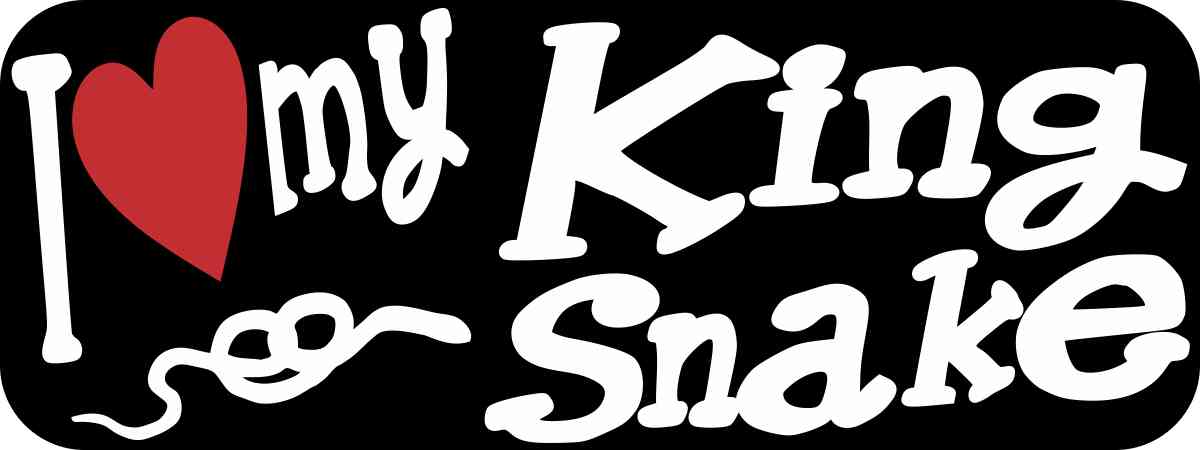 king snake