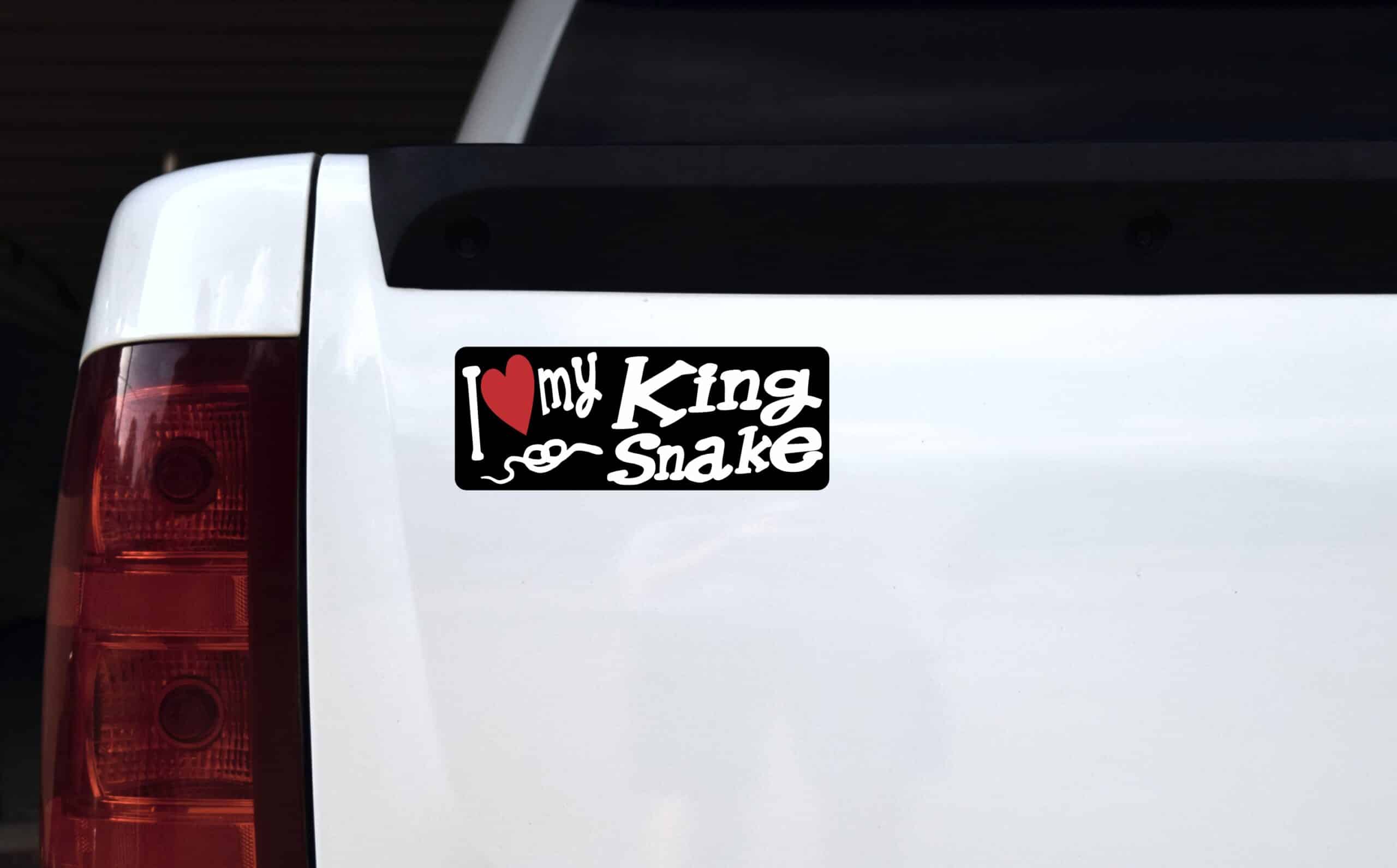 8in x 3in I Love My King Snake Bumper Sticker Vinyl Animal Vehic