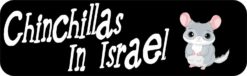 Chinchillas in Israel