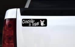 10in x 3in Chinchillas In Israel Bumper Sticker Vinyl Truck Wind