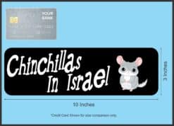 10in x 3in Chinchillas In Israel Bumper Sticker Vinyl Truck Wind