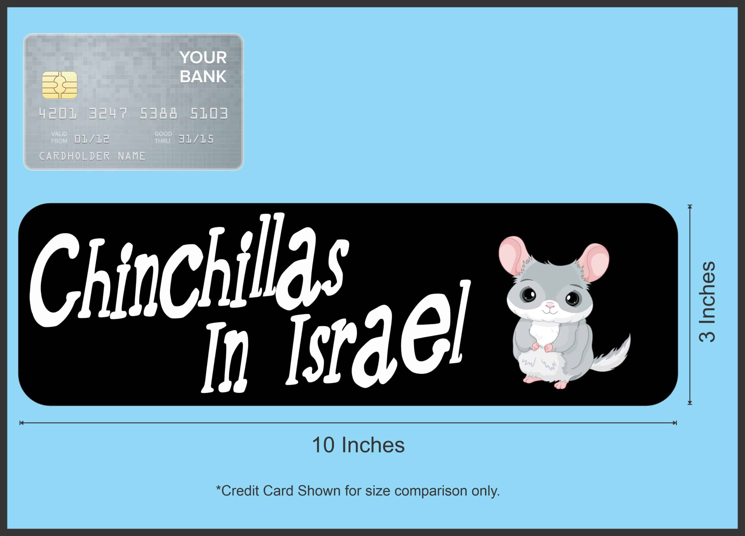 10in x 3in Chinchillas In Israel Bumper Sticker Vinyl Truck Wind