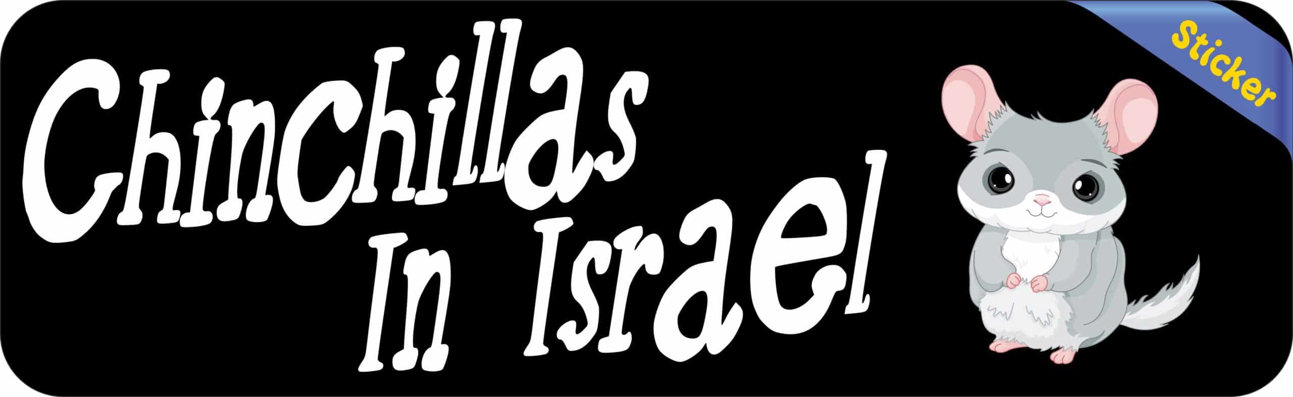 10in x 3in Chinchillas In Israel Bumper Sticker Vinyl Truck Wind