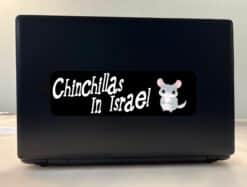 10in x 3in Chinchillas In Israel Bumper Sticker Vinyl Truck Wind