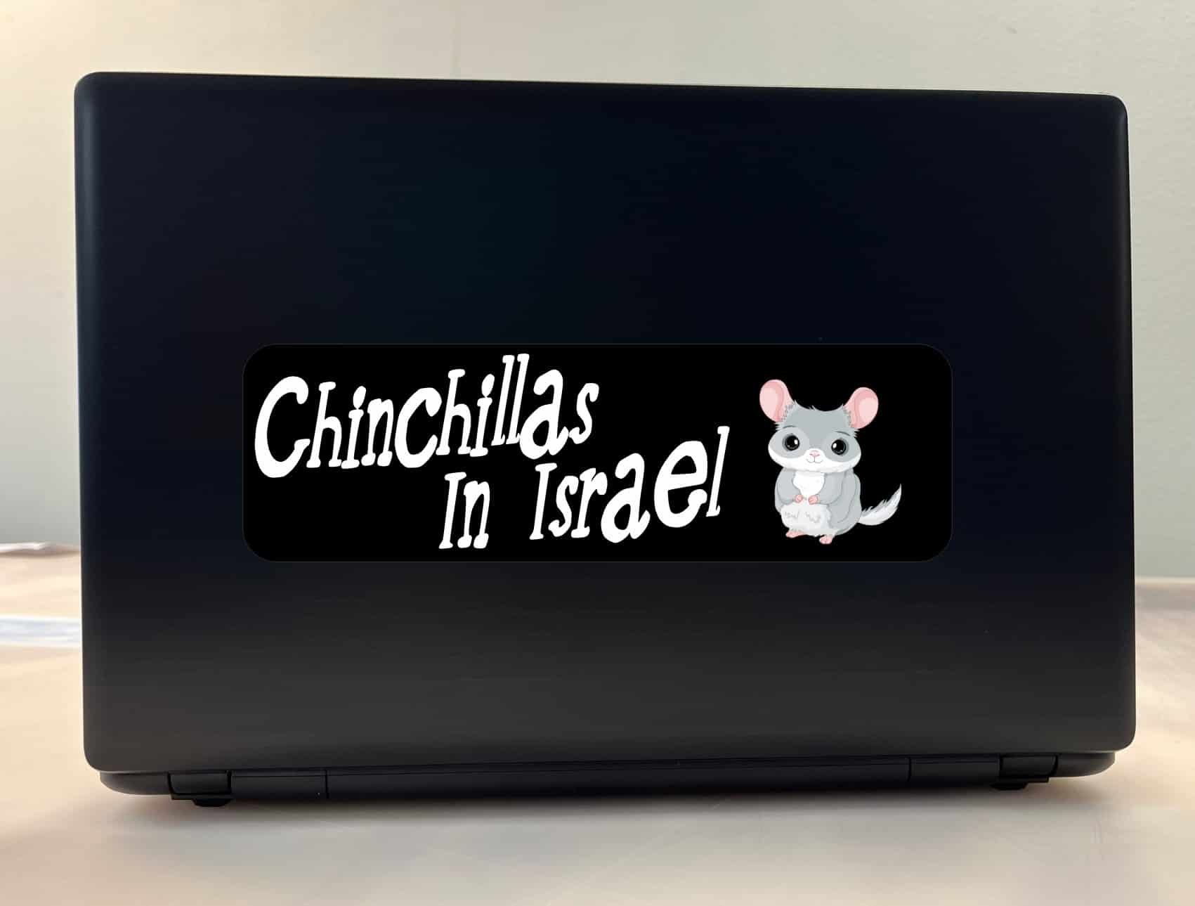 10in x 3in Chinchillas In Israel Bumper Sticker Vinyl Truck Wind