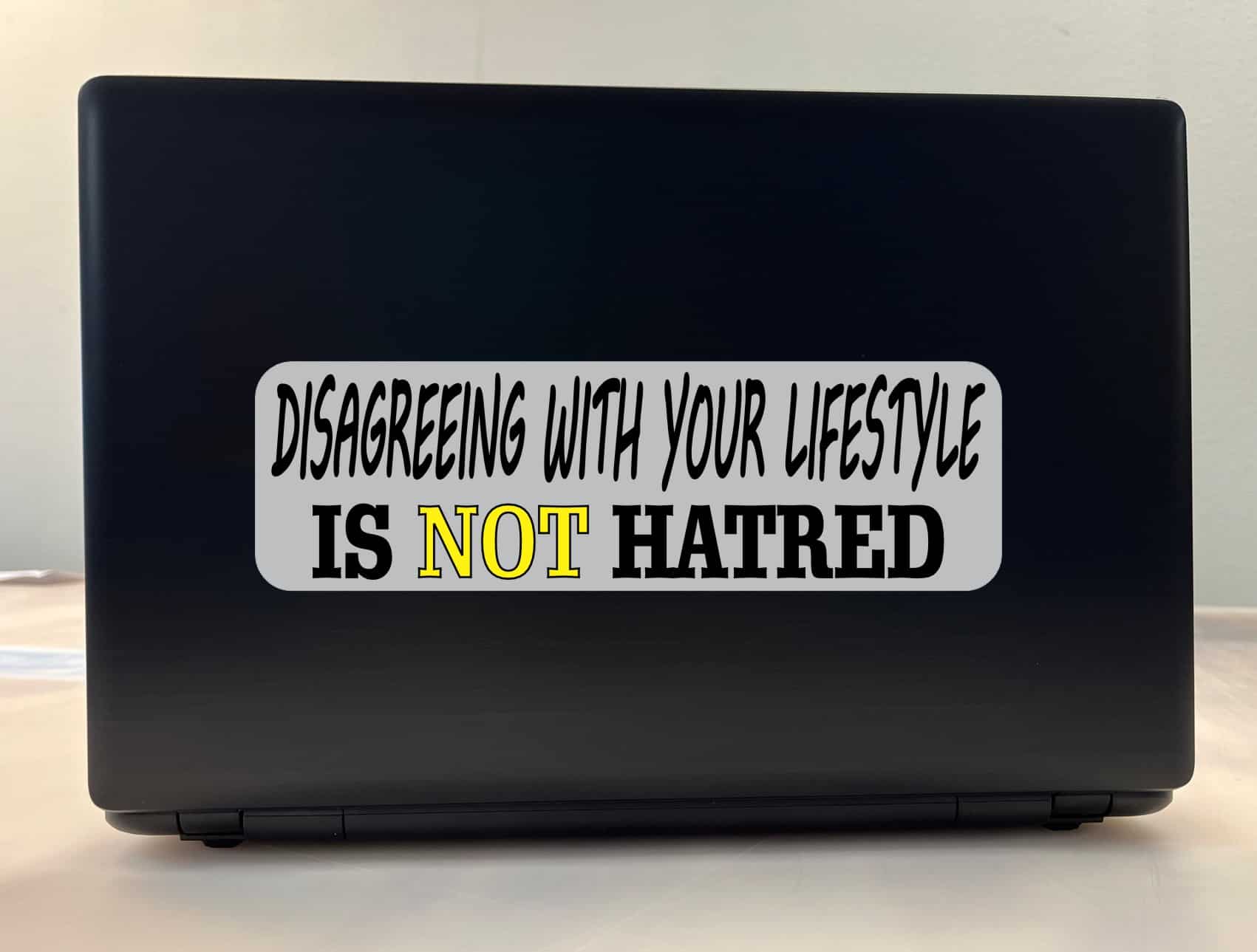 10in x 3in Disagreeing Is Not Hatred Bumper Sticker Vinyl Vehicle Decal
