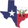 Die Cut Skull Guns and Rope Texas Sticker