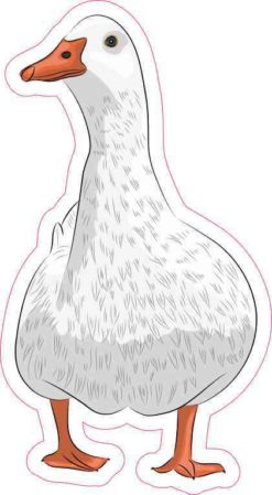 Duck Sticker