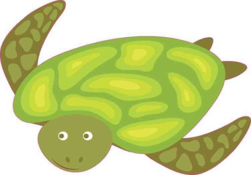 sea turtle sticker