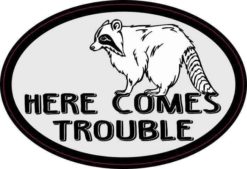 Oval Here Comes Trouble Sticker