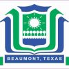 Beaumont texas Flag