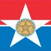Dallas texas Flag