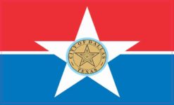 Dallas texas Flag