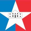San Antonio texas Flag