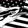 American Flag