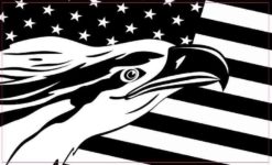 American Flag