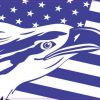American Flag
