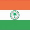 Miami Florida Flag