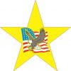 Patriotic Star with Eagle and Flag Sticker