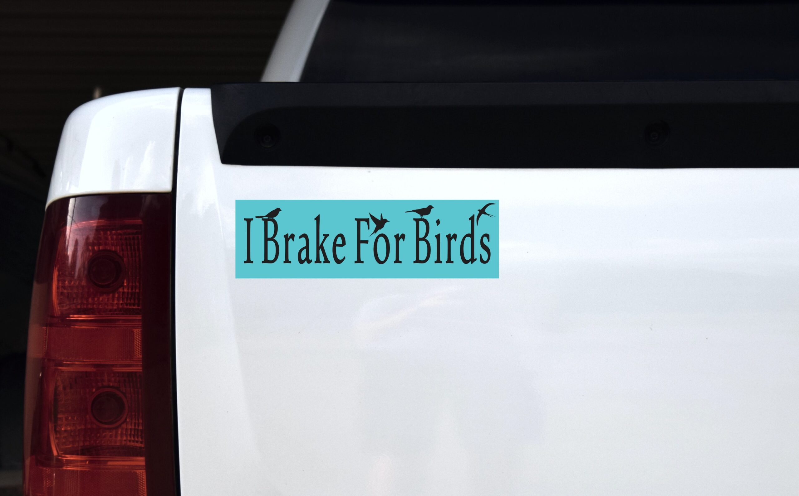 10in x 3in Blue I Brake For Birds Magnet Magnetic Vehicle Bumper Magnets
