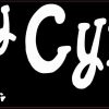 cymric cat
