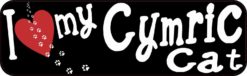 cymric cat