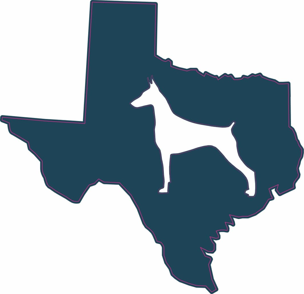 3.5in x 3.5in Die Cut Texas DoBerman Sticker Vinyl Dog Decal Car Stickers