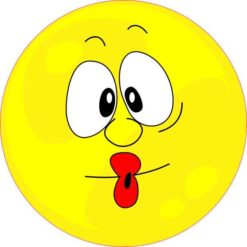Kissing Face Sticker