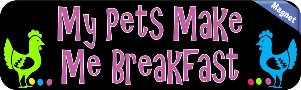 My Pets Make Me Breakfast Chicken Magnet