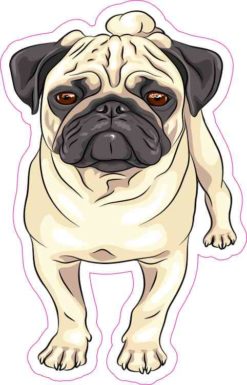 Pug Sticker