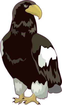 Eagle Sticker