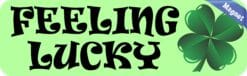 10in x 3in Feeling Lucky Magnet Magnetic St. Patrick's Day Bumper