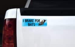 10in x 3in I Brake For Bats Bumper Sticker Vinyl Animal Vehicle Stickers