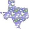 Butterfly Texas Sticker