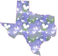 Butterfly Texas Sticker