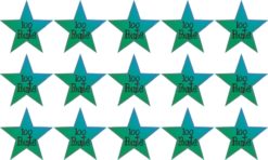 school star sticker