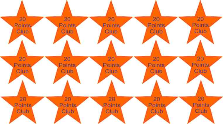 school star sticker