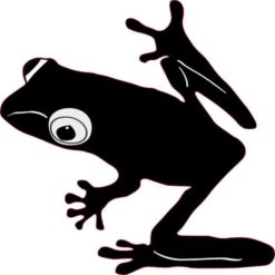 tree frog sticker